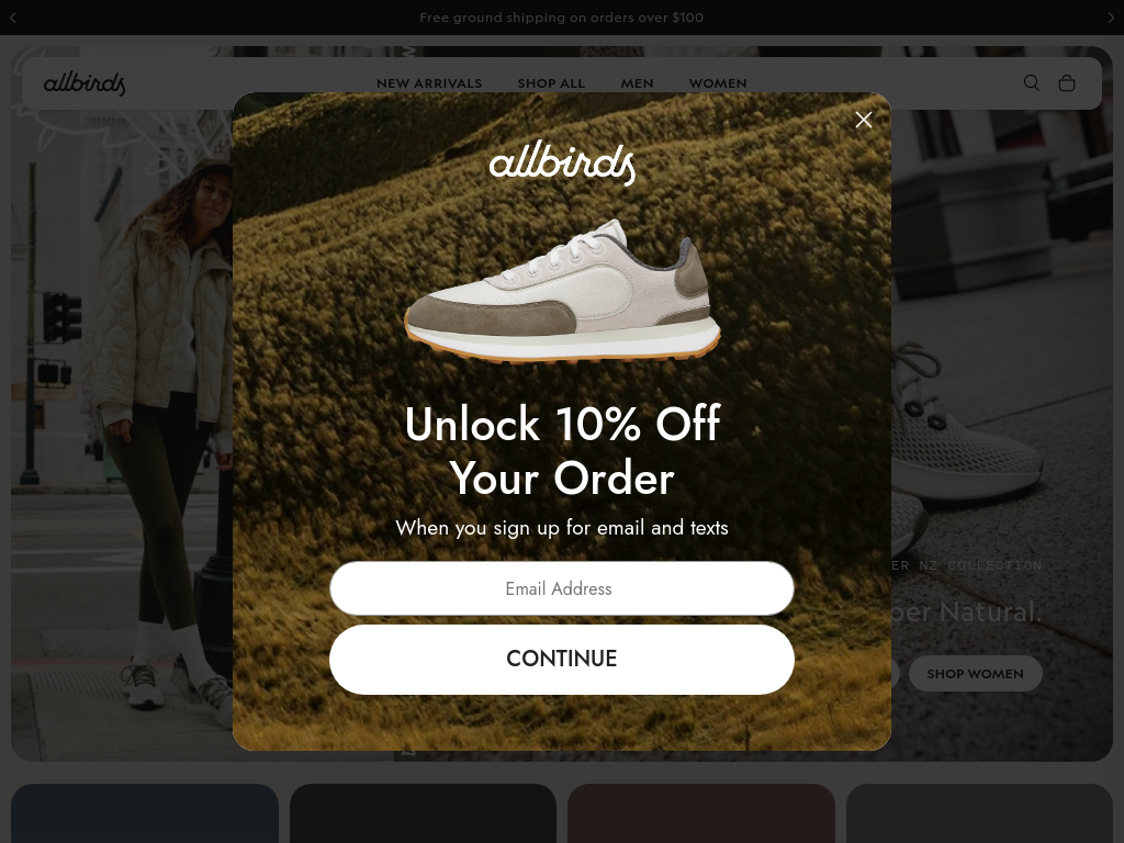 allbirds.com بعرض 1024 بكسل