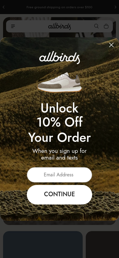 allbirds.com بعرض 390 بكسل