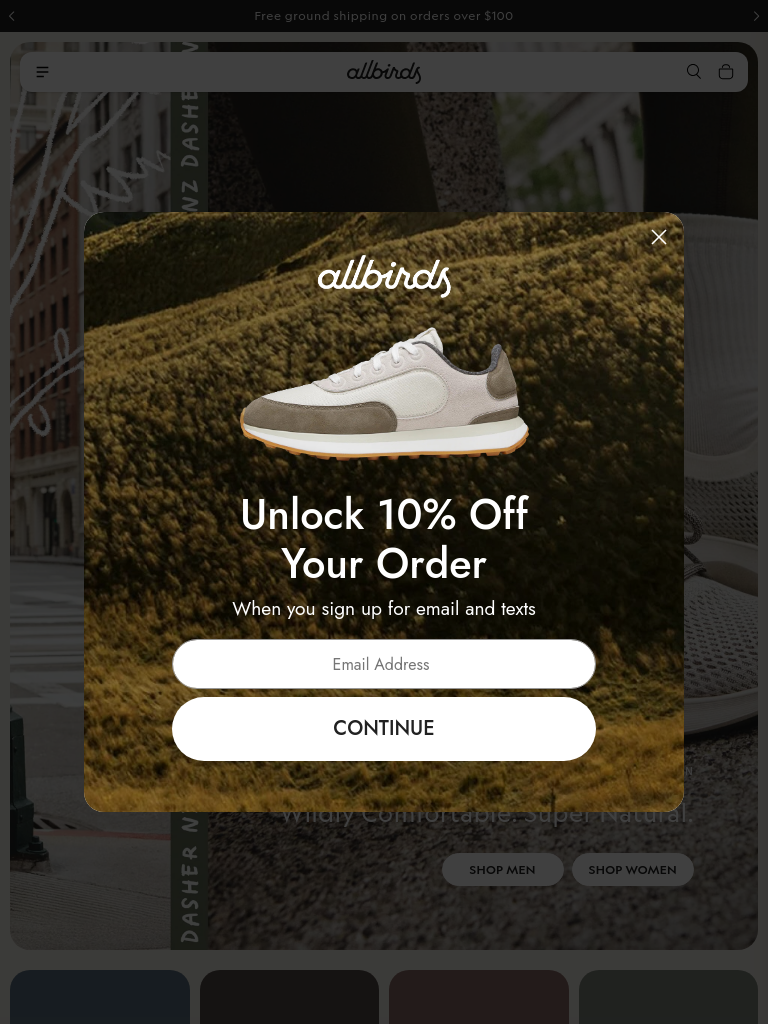 allbirds.com بعرض 768 بكسل