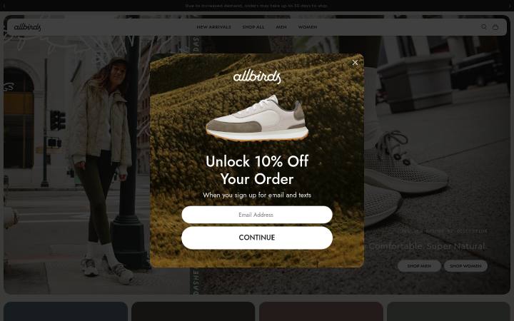 Strona główna allbirds.com
