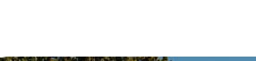 Select (native), outlined, Focus (keyboard)